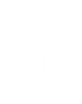 logo-gd